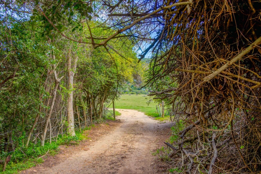 0 Bedroom Property for Sale in Knysna Rural Western Cape